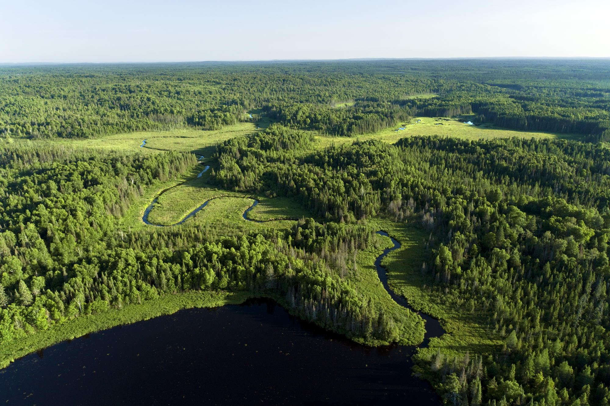 Hover mouse over logo at top left to see menu; click to go to next picture