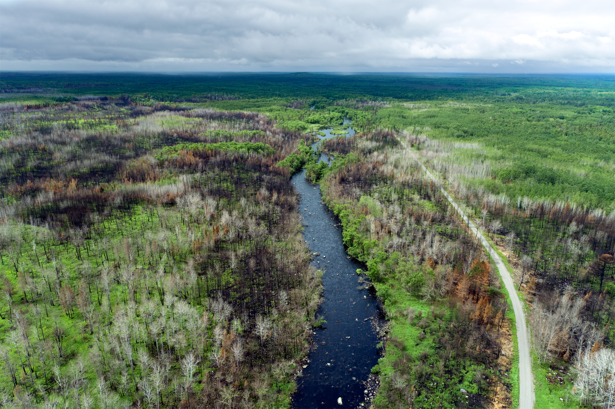 Hover mouse over logo at top left to see menu; click to go to next picture